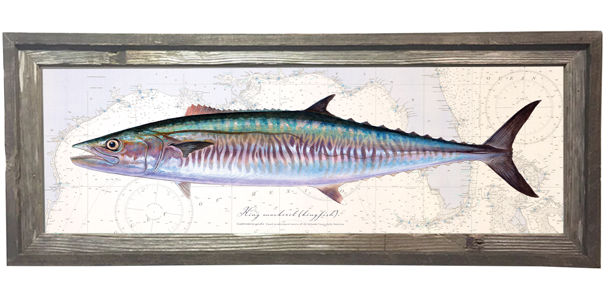 Kingfish Over Nautical Charts