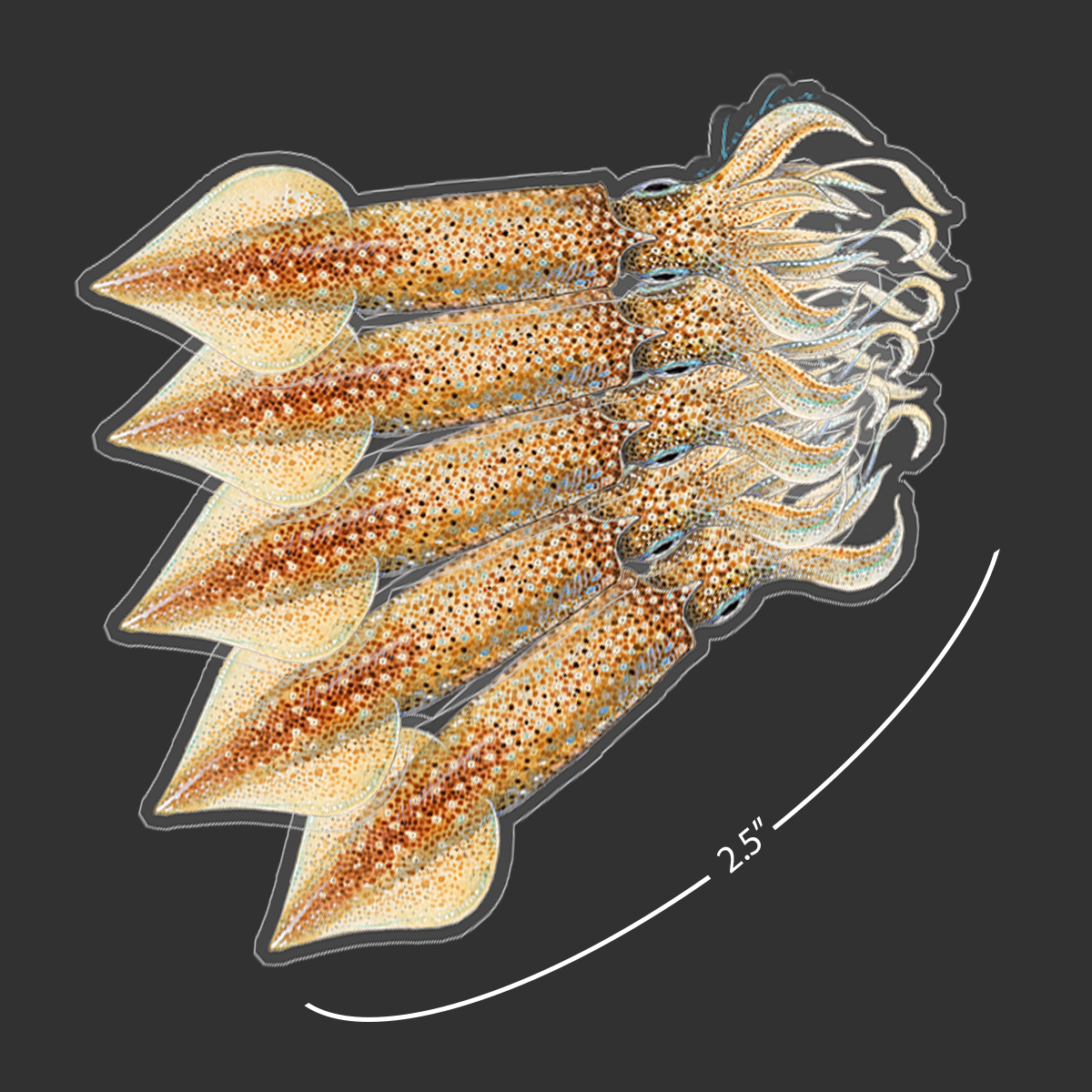 Mini Squid Stickers (Pack of 5)
