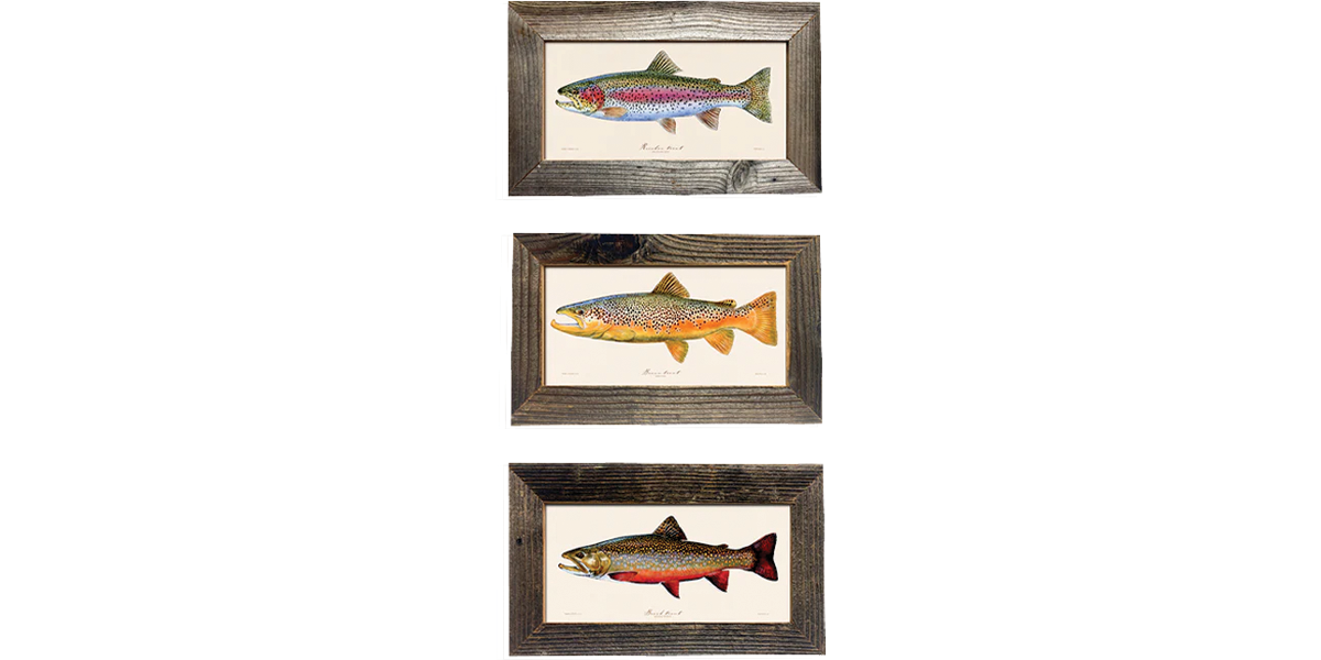 Trout slam tryptic (6x12)