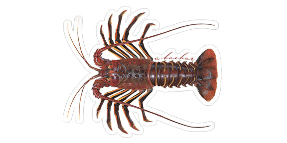 Mini Lobster Stickers (Pack of 5)