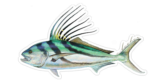 Roosterfish - 6.75"