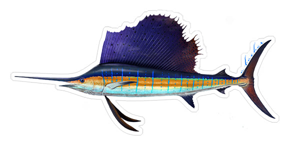 Sailfish - 8.5"