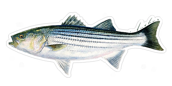 Mini Striper Stickers (Pack of 5)