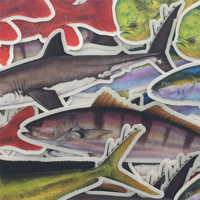 Fish Stickers | Offshore Fish Illustration Stickers | Vinyl Fish Decals