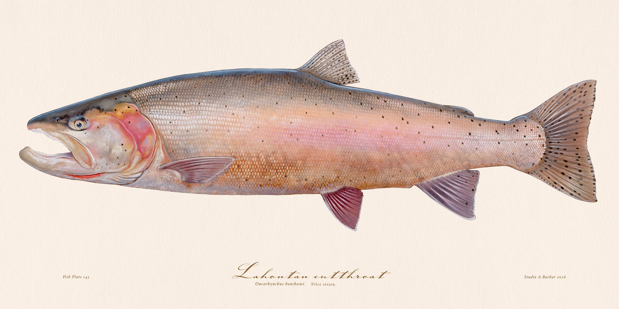 Pilot Lahontan