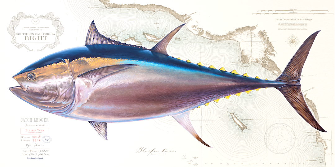Romphy Fish Trophy Fish - Studio Abachar