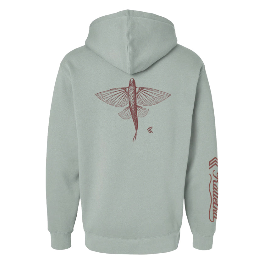 Flying Fish Hoodie - Sage