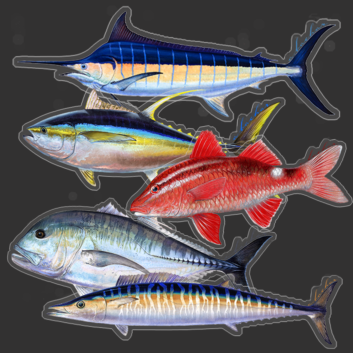 Socal Fish Stickers pack | Quality Fish Decals by Abachar Studio