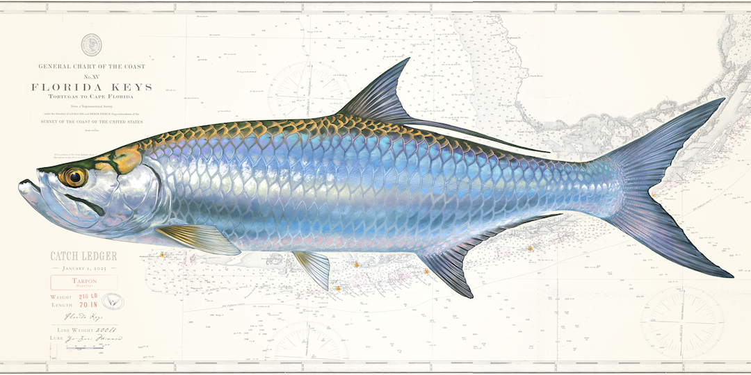 Trophy Fish - Florida/Gulf/East