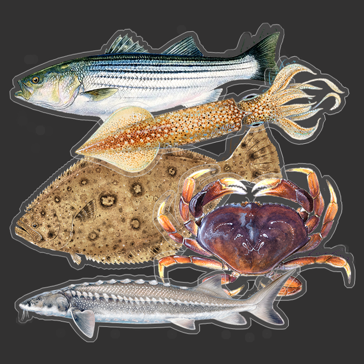 Nor-Cal sticker combo pack #2 (SP)