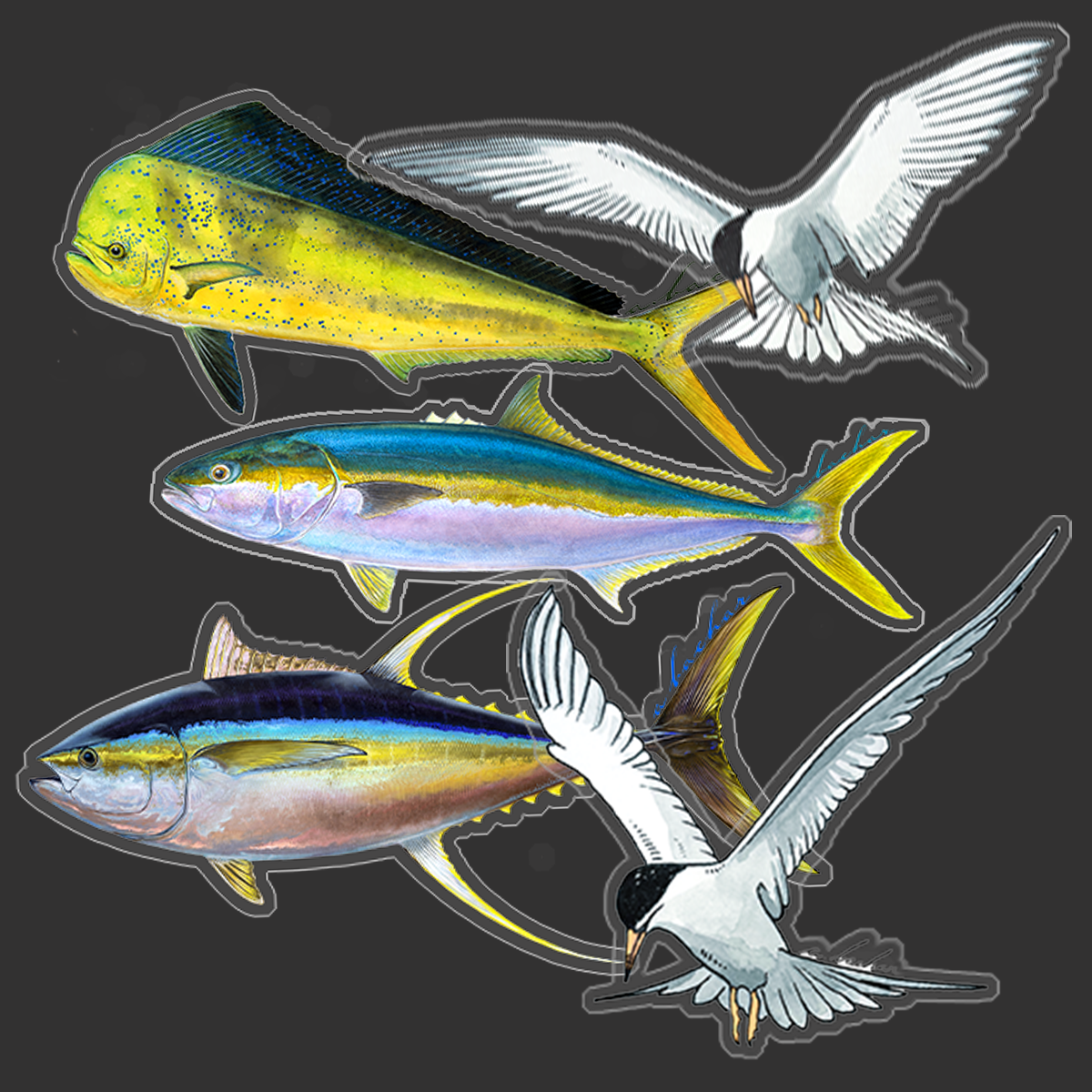 Socal Fish Stickers pack | Quality Fish Decals by Abachar Studio