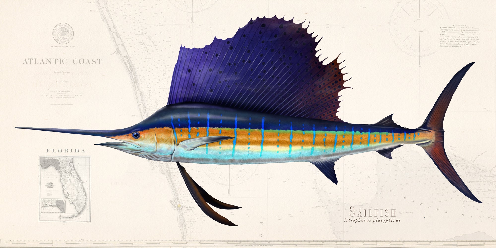Sailfish Artwork Over Nautical Charts