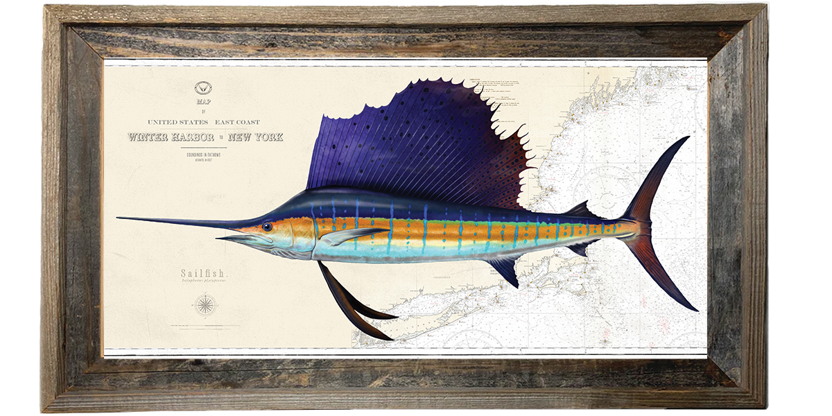 Sailfish Artwork Over Nautical Charts