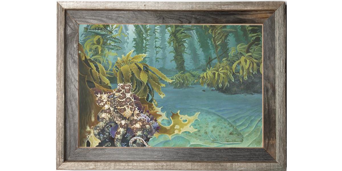 So-Cal Kelp Forest