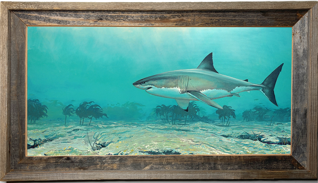 shark week merchandise 2022  great white shark lurking art painting
