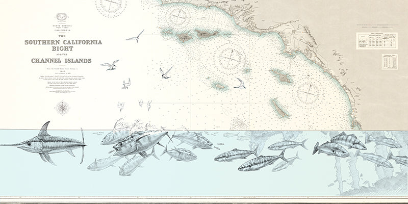Shop Yellowtail fish Art prints for sale from Abachar Studio
