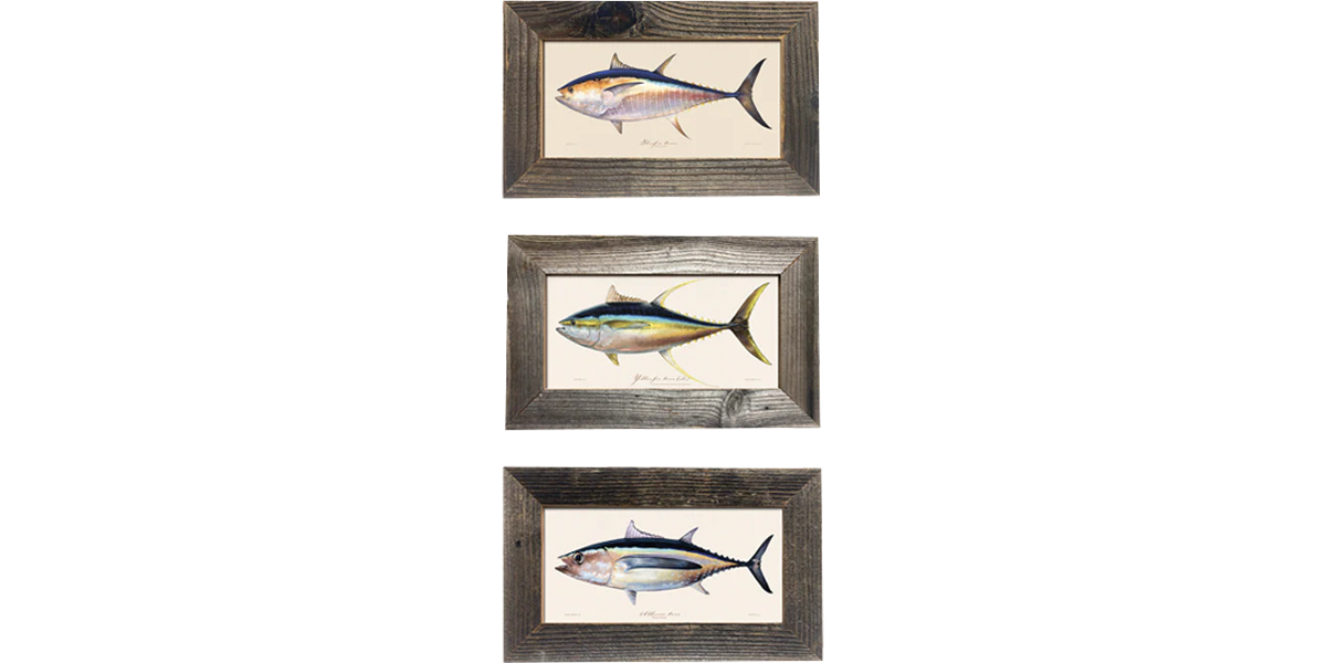 10冊まとめ売り】FISH TUNK No.036〜045 10冊まとめ売り】FISH TUNK No
