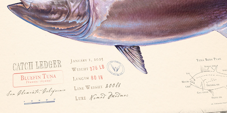 Ulua Over Nautical Charts - Custom