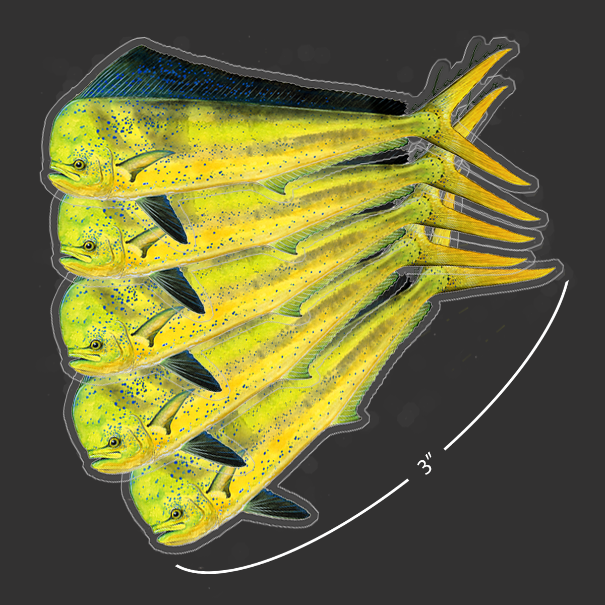 Mini Dorado Stickers (Pack of 5)