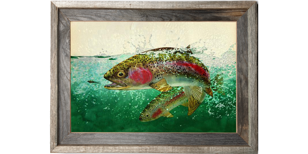 Double Rainbows Trout