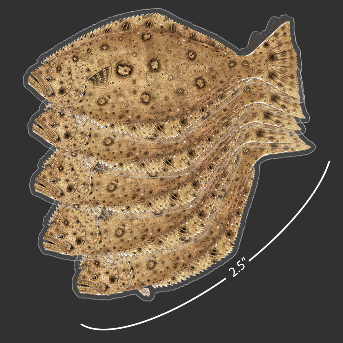 Mini Halibut Stickers (Pack of 5) - Studio Abachar