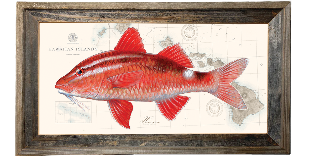 kumu_chart.png?v=1743439229