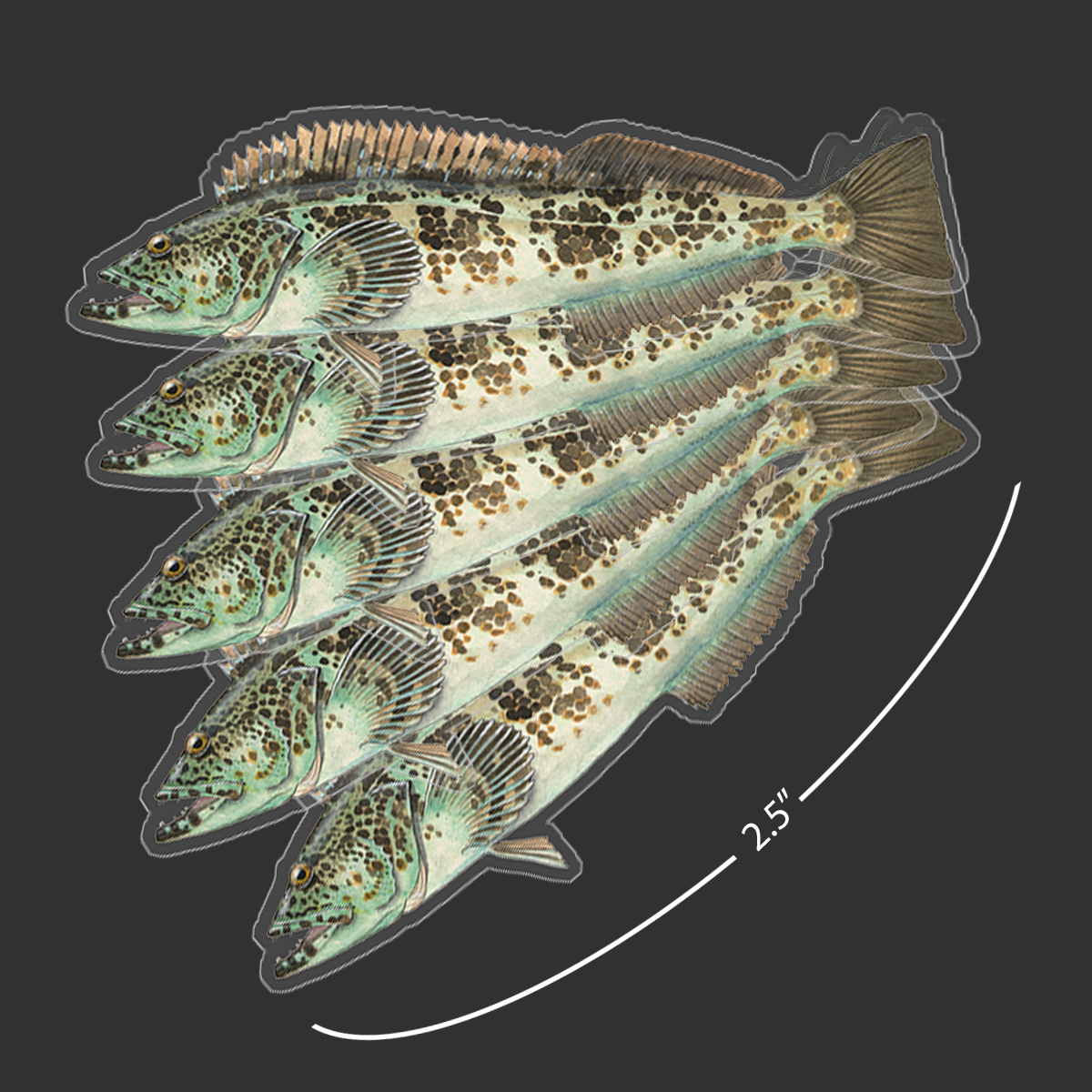 Mini Lingcod Stickers (Pack of 5)