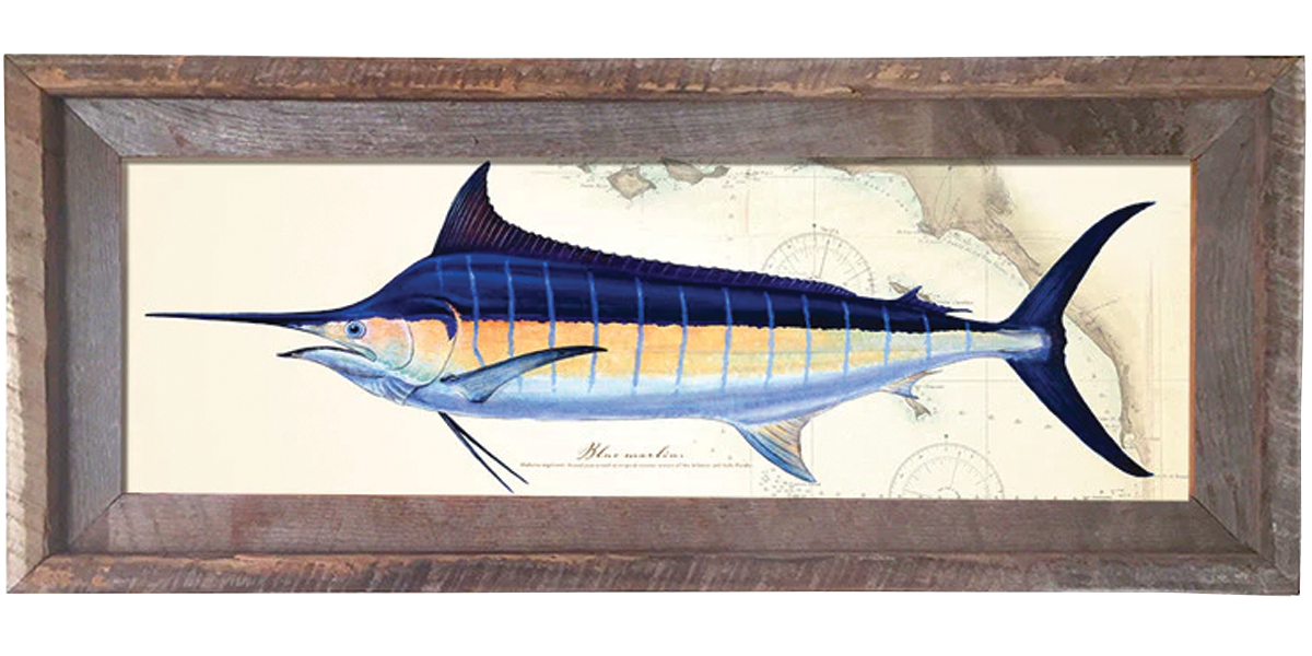 Blue Marlin Over Nautical Charts
