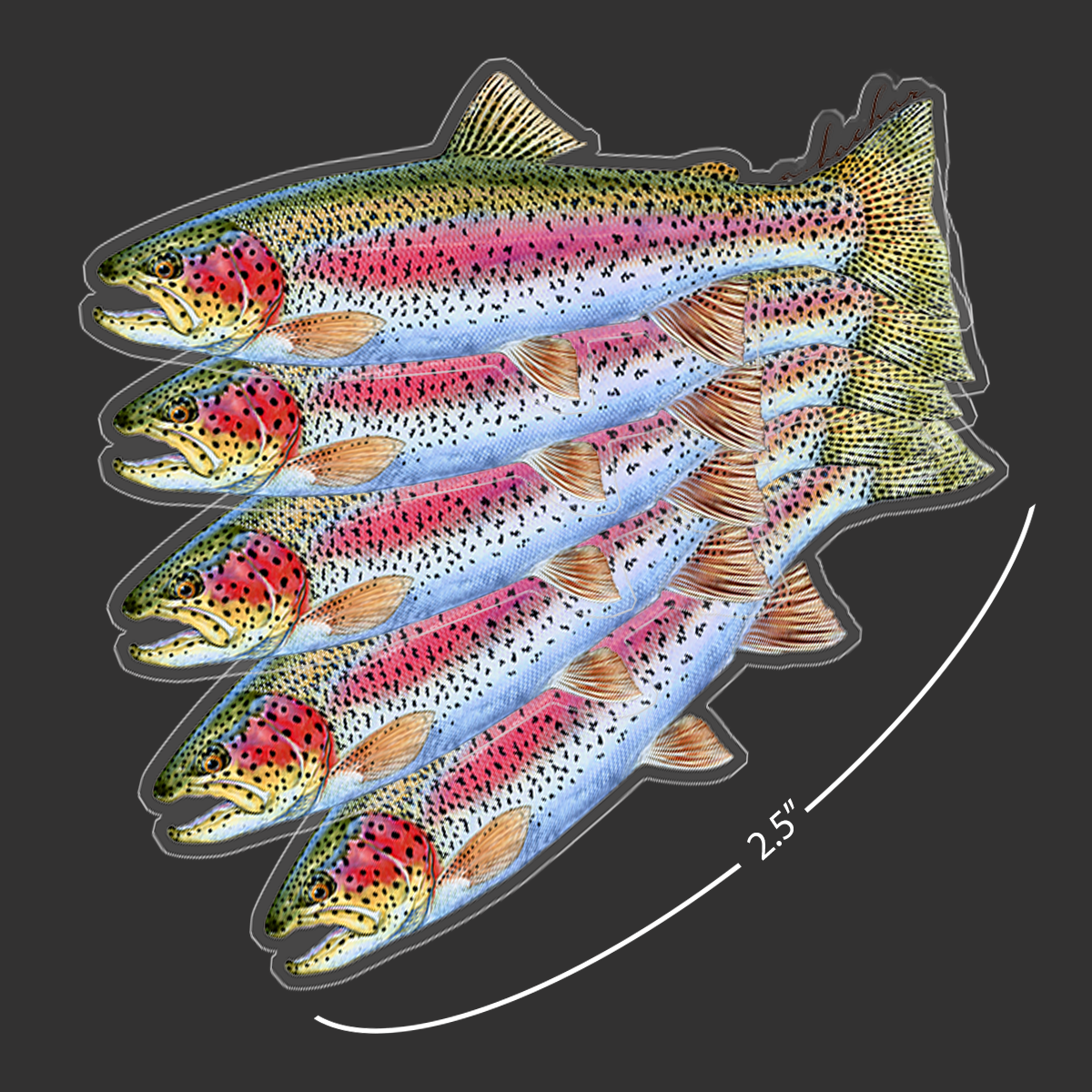 Mini Rainbow Trout Stickers (Pack of 5)