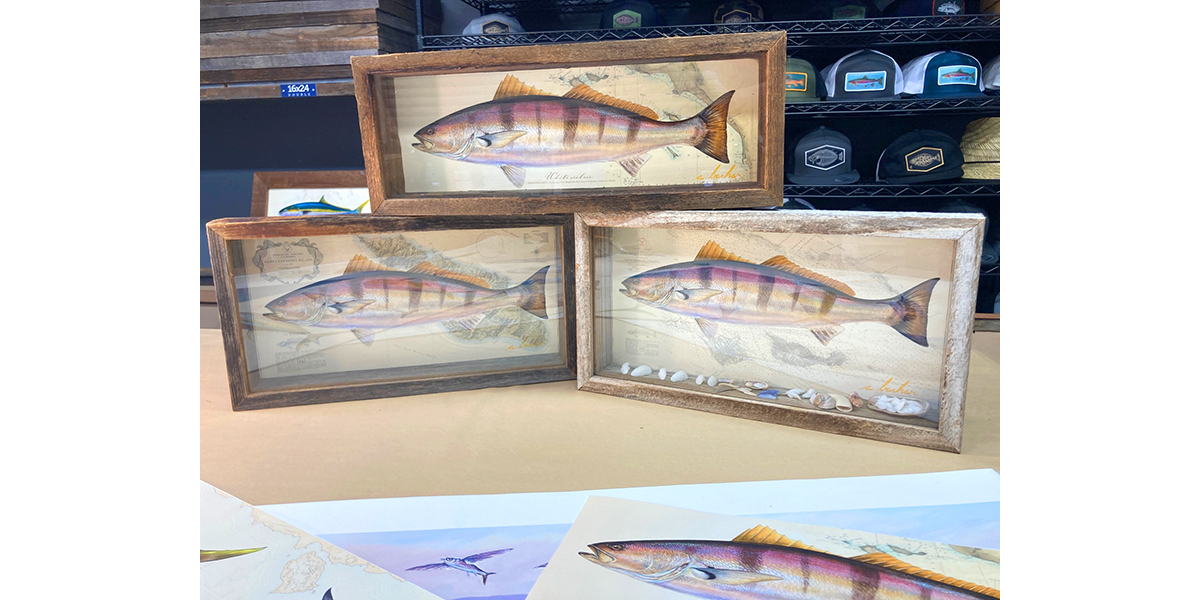 Seabass stones shadowbox