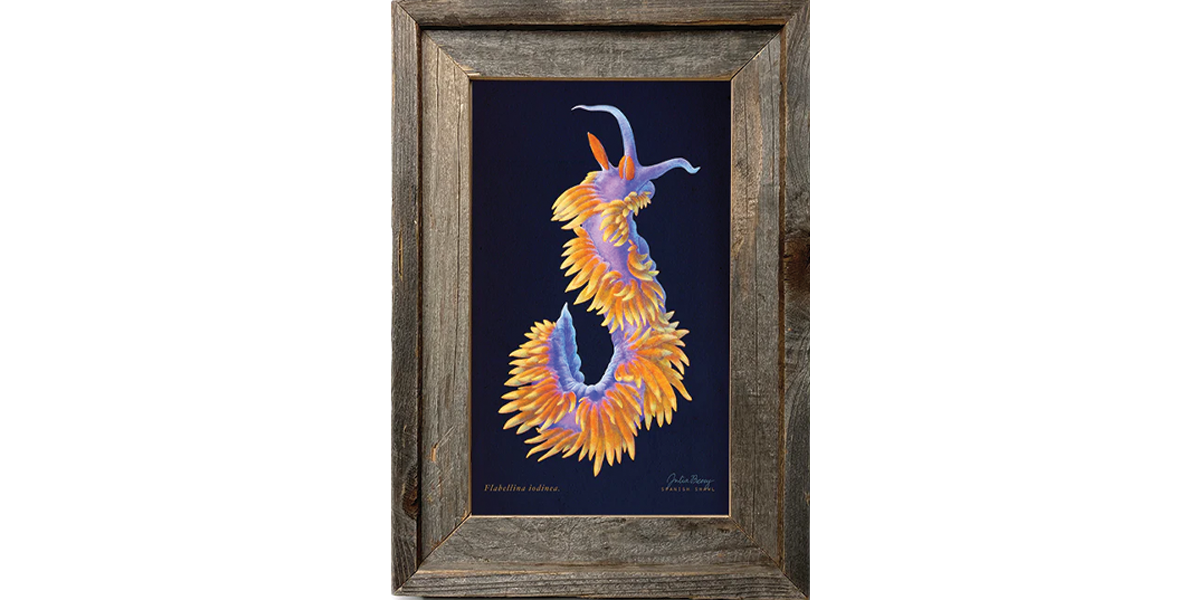 Spanish Shawl