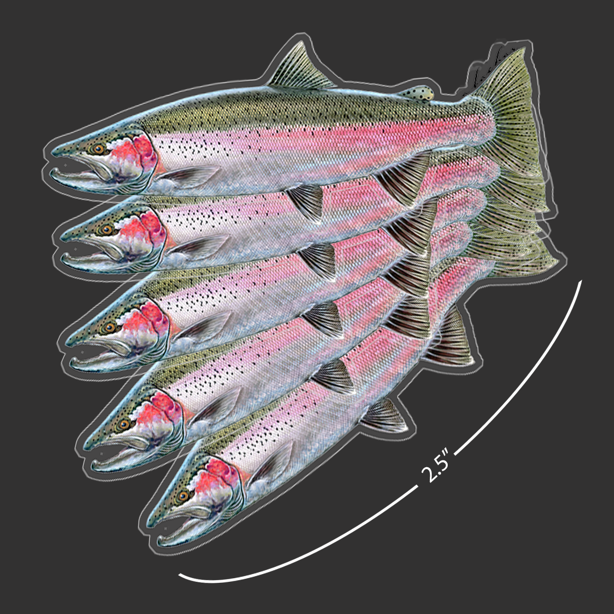 Mini Steelhead Stickers (Pack of 5)
