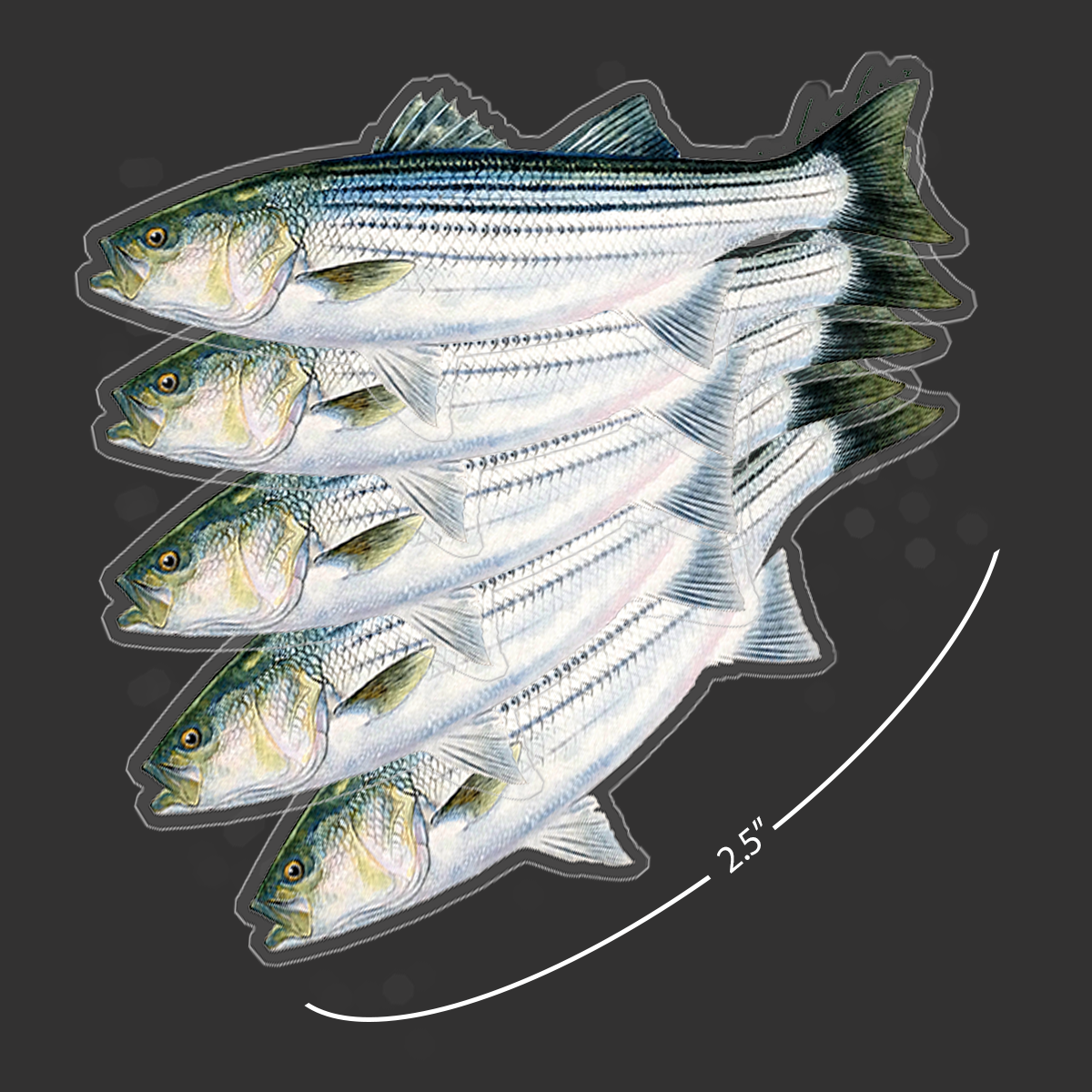 Mini Striper Stickers (Pack of 5)