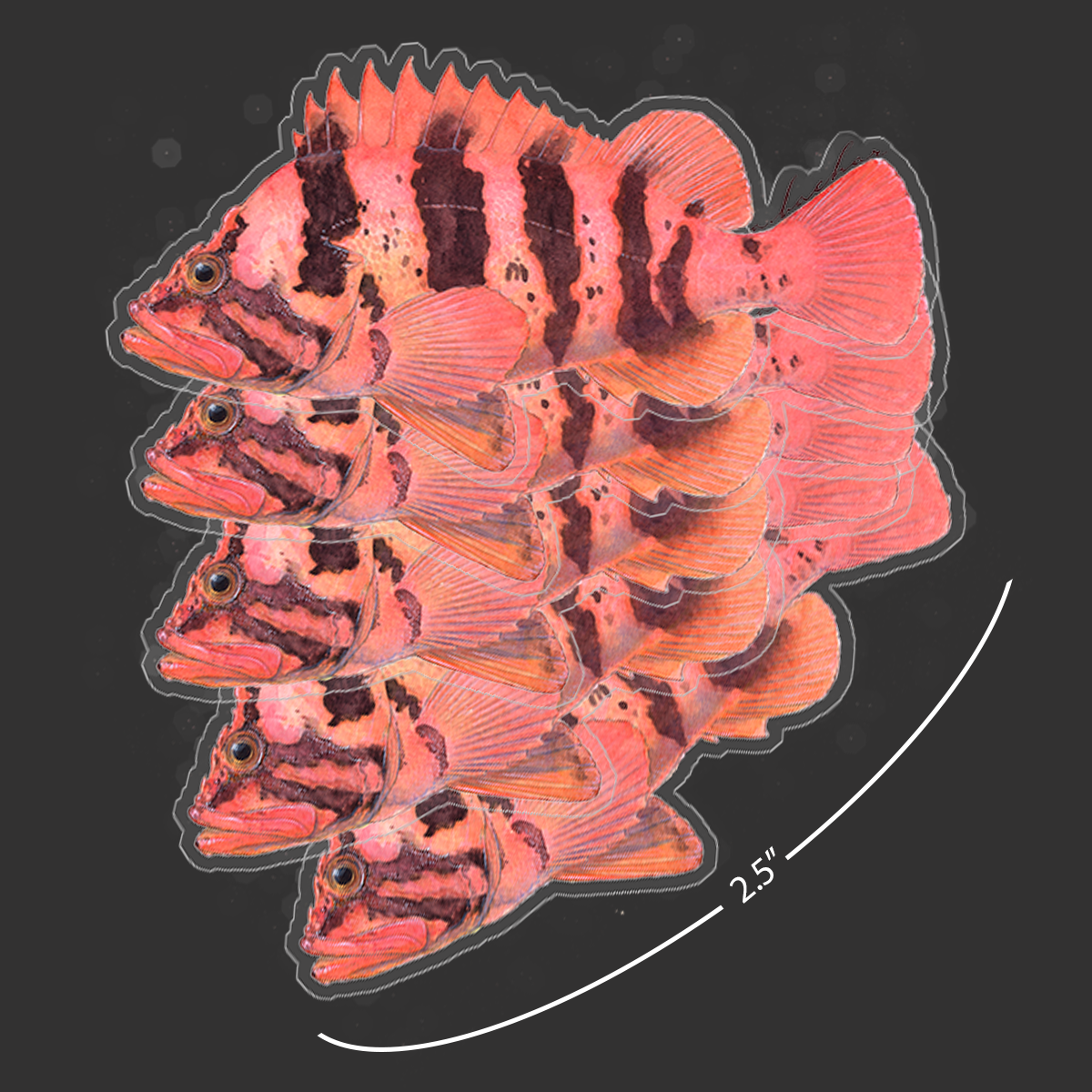 Mini Tiger Stickers (Pack of 5)