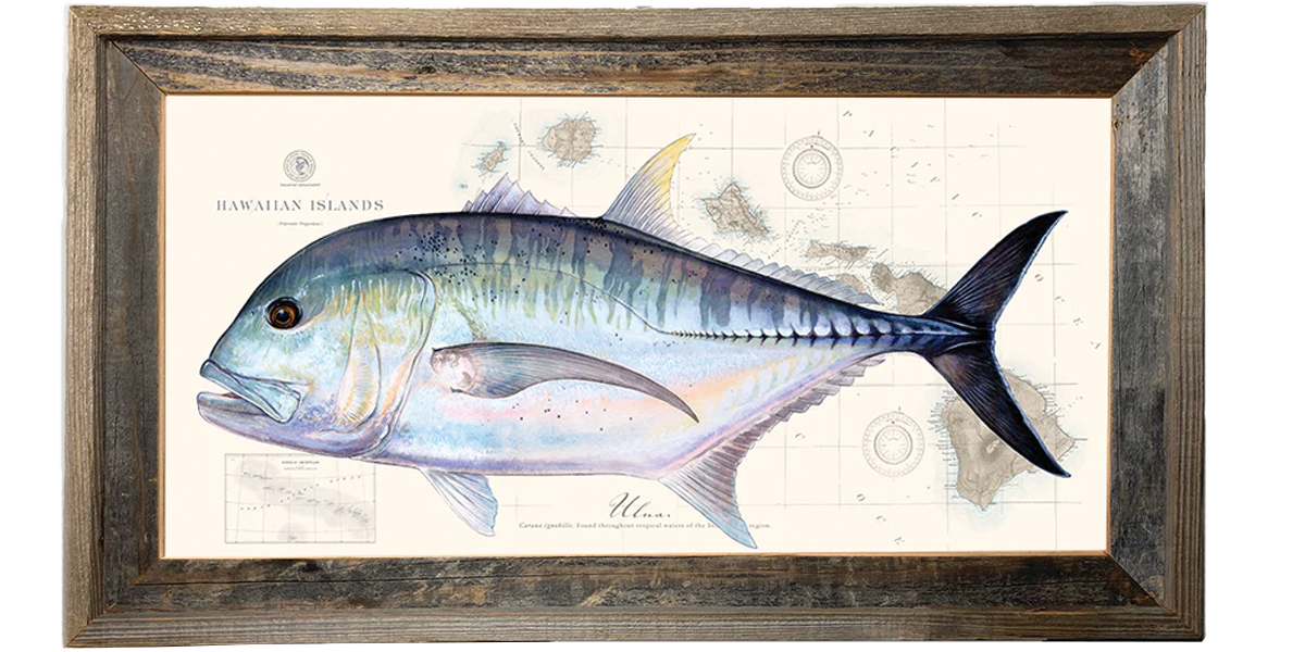 Ulua Fish Backdrop Ulua Drawing Hawaiian Fish Ulua Decal