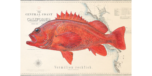 絵画 788 油絵/抽象画風/魚の斑紋/S6号 Vermilion Rockfish Art “Vermilion Over Vintage Nautical