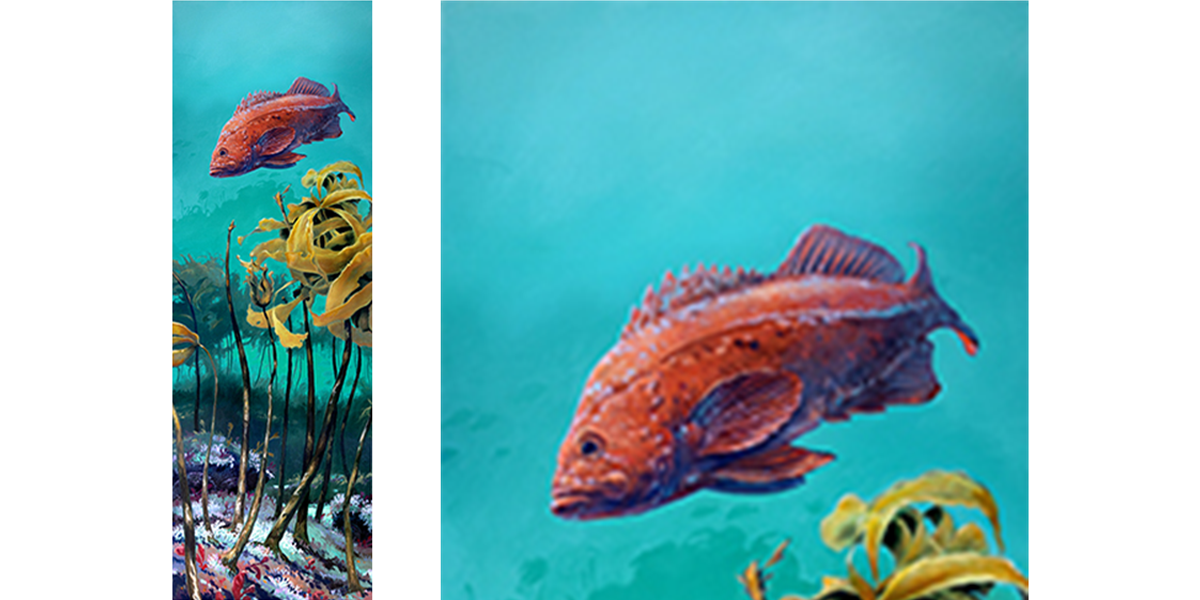 Vermillion Rockfish in Nor-Cal Kelp Bed