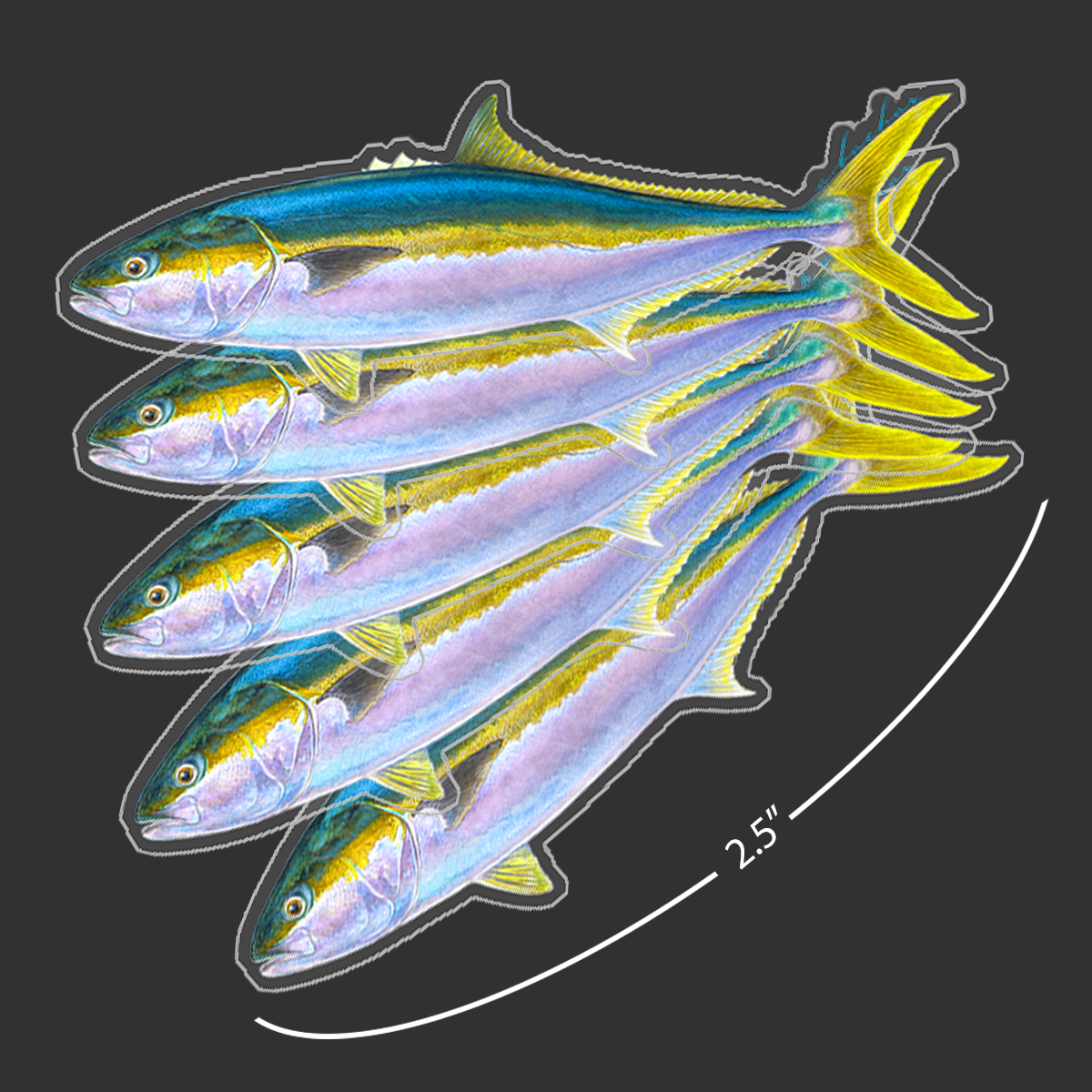 Mini Yellowtail Stickers (Pack of 5)