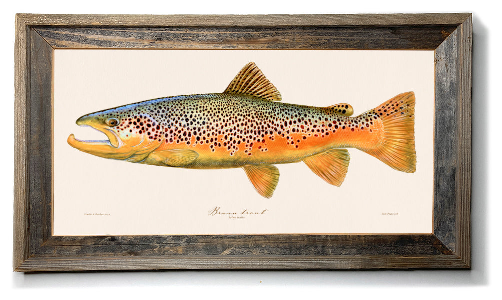 Trout painting discount