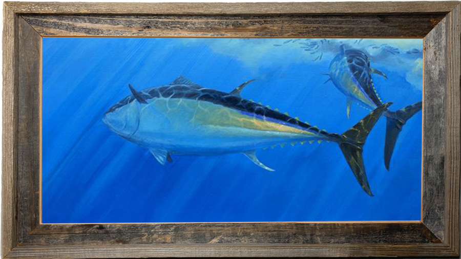 Pair of Bluefin Tuna