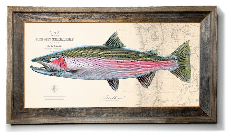 Steelhead Trout Over Nautical Charts