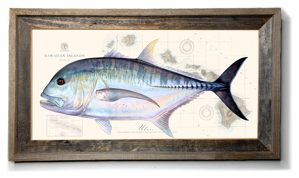 Ulua Fish Sticker