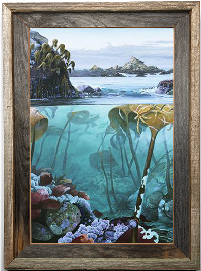 Sonoma Reef Abalone