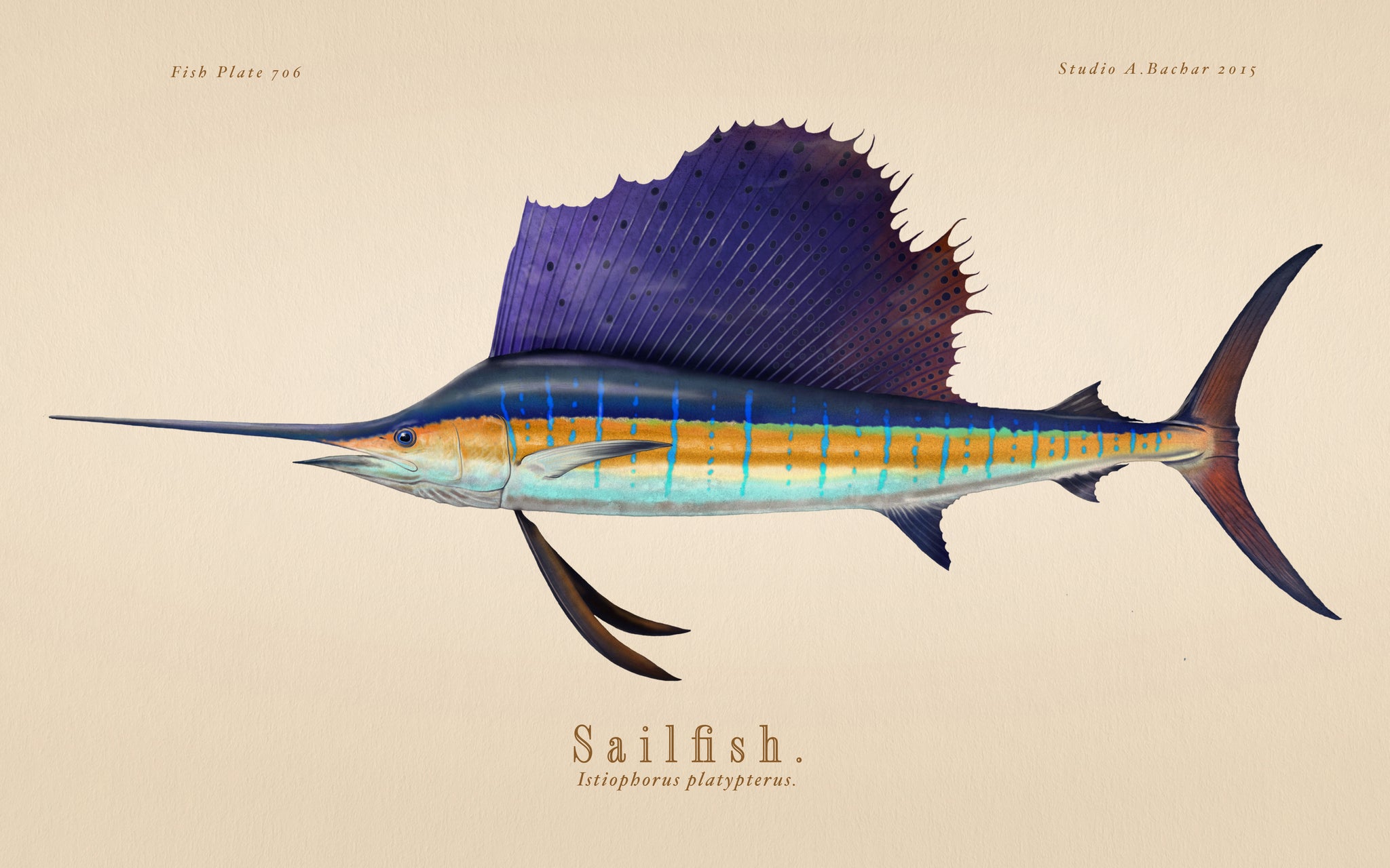Sailfish 106