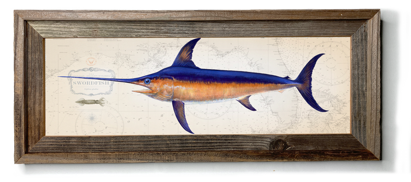 Swordfish Roe Swordfish Painting