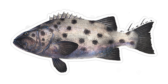 Sea Fish Vinyl Sticker