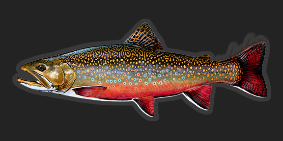 Holographic Brook Trout Sticker, Fish Stickers, Trout Fishing