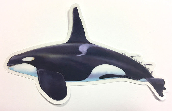 Orca Tilikum Vinyl Decal – Choose Size & Color – For Car, Wall, Window – Oracal USA