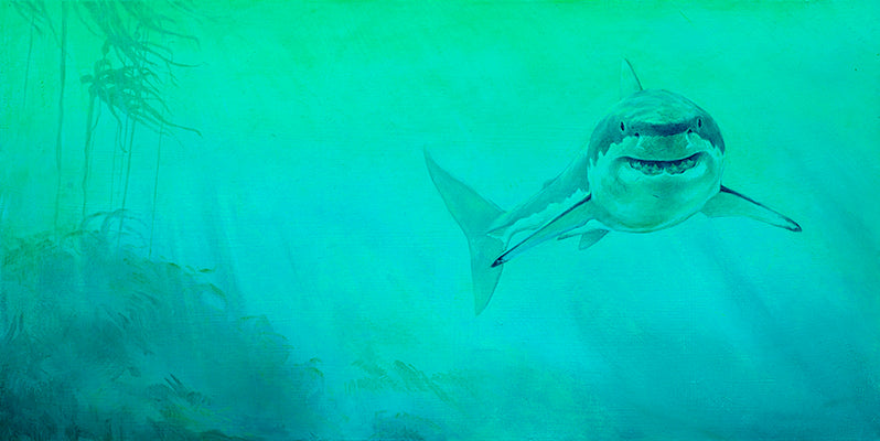 Great White Shark Lurking