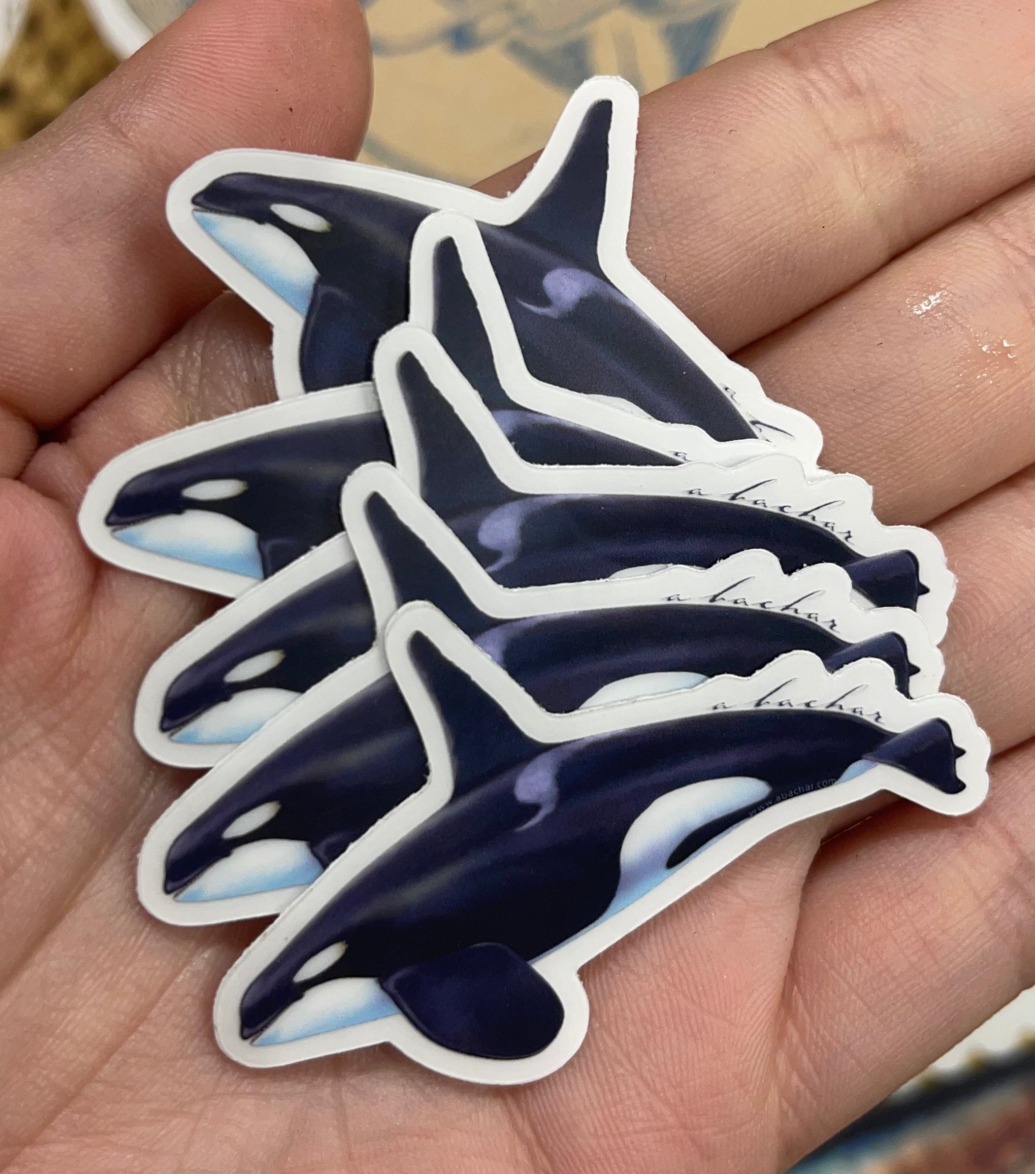 Killer 2025 whale keychain